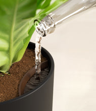 Load image into Gallery viewer, Stone Black stand:all