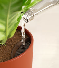 Load image into Gallery viewer, Earth Red stand:all