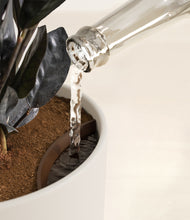 Load image into Gallery viewer, Natural Bamboo stand:all