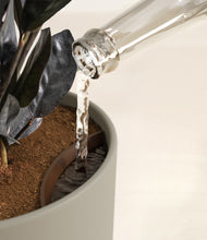 Load image into Gallery viewer, Sage Green stand:all