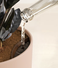 Load image into Gallery viewer, Sandy Pink stand:all