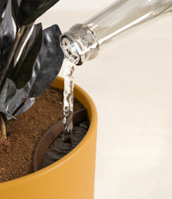 Load image into Gallery viewer, Sunset Orange stand:all