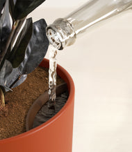 Load image into Gallery viewer, Earth Red stand:all