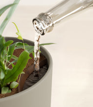 Load image into Gallery viewer, Sage Green stand:all