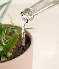 Load image into Gallery viewer, Sandy Pink stand:all