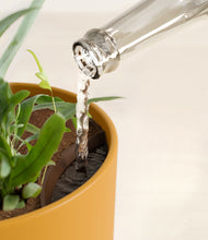 Load image into Gallery viewer, Sunset Orange stand:all