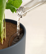 Load image into Gallery viewer, Iron Gray stand:all