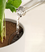 Load image into Gallery viewer, Natural Bamboo stand:all