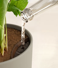 Load image into Gallery viewer, Sage Green stand:all