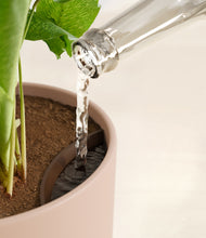 Load image into Gallery viewer, Sandy Pink stand:all