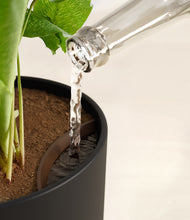 Load image into Gallery viewer, Stone Black stand:all