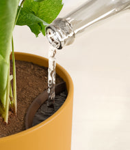 Load image into Gallery viewer, Sunset Orange stand:all