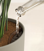 Load image into Gallery viewer, Sage Green stand:all