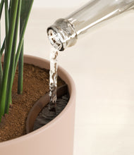 Load image into Gallery viewer, Sandy Pink stand:all