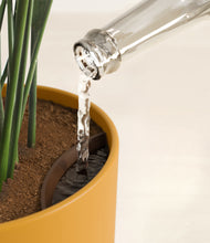 Load image into Gallery viewer, Sunset Orange stand:all