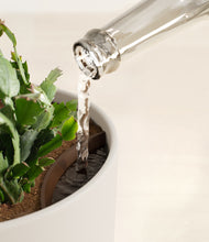 Load image into Gallery viewer, Natural Bamboo stand:all