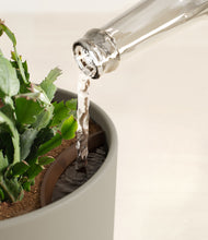 Load image into Gallery viewer, Sage Green stand:all