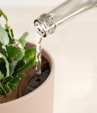 Load image into Gallery viewer, Sandy Pink stand:all