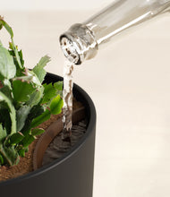 Load image into Gallery viewer, Stone Black stand:all