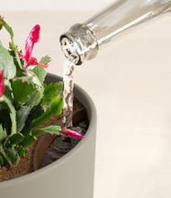 Load image into Gallery viewer, -