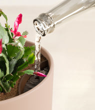 Load image into Gallery viewer, -