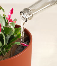 Load image into Gallery viewer, -