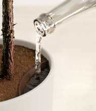 Load image into Gallery viewer, Natural Bamboo stand:all