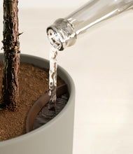 Load image into Gallery viewer, Sage Green stand:all