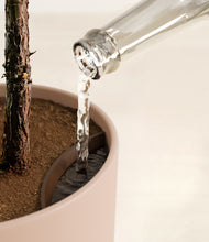 Load image into Gallery viewer, Sandy Pink stand:all