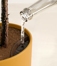 Load image into Gallery viewer, Sunset Orange stand:all