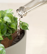 Load image into Gallery viewer, Sage Green stand:all