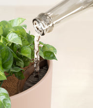 Load image into Gallery viewer, Sandy Pink stand:all