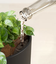 Load image into Gallery viewer, Stone Black stand:all