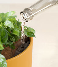 Load image into Gallery viewer, Sunset Orange stand:all