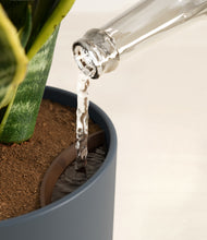 Load image into Gallery viewer, Iron Gray stand:all