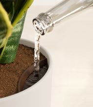 Load image into Gallery viewer, Natural Bamboo stand:all