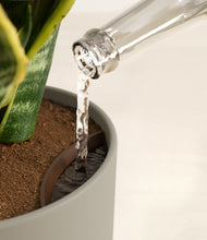 Load image into Gallery viewer, Sage Green stand:all