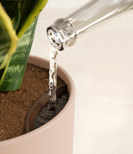 Load image into Gallery viewer, Sandy Pink stand:all