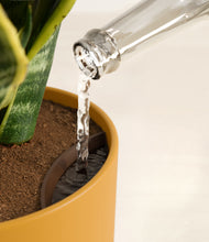 Load image into Gallery viewer, Sunset Orange stand:all