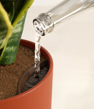 Load image into Gallery viewer, Earth Red stand:all