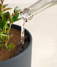 Load image into Gallery viewer, Iron Gray stand:all