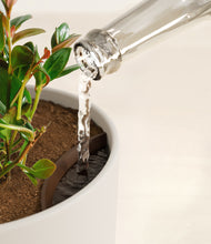 Load image into Gallery viewer, Natural Bamboo stand:all