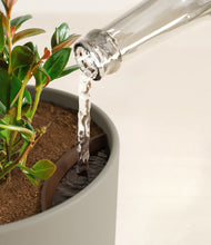 Load image into Gallery viewer, Sage Green stand:all