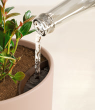 Load image into Gallery viewer, Sandy Pink stand:all