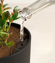 Load image into Gallery viewer, Stone Black stand:all