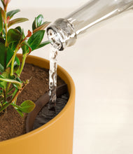 Load image into Gallery viewer, Sunset Orange stand:all