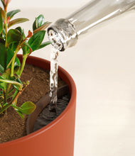 Load image into Gallery viewer, Earth Red stand:all