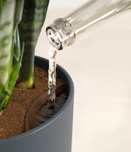 Load image into Gallery viewer, Iron Gray stand:all