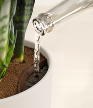 Load image into Gallery viewer, Natural Bamboo stand:all