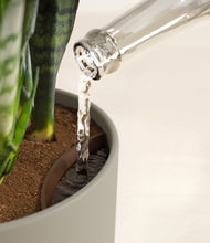 Load image into Gallery viewer, Sage Green stand:all